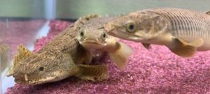 img_8454-e1674298591174-